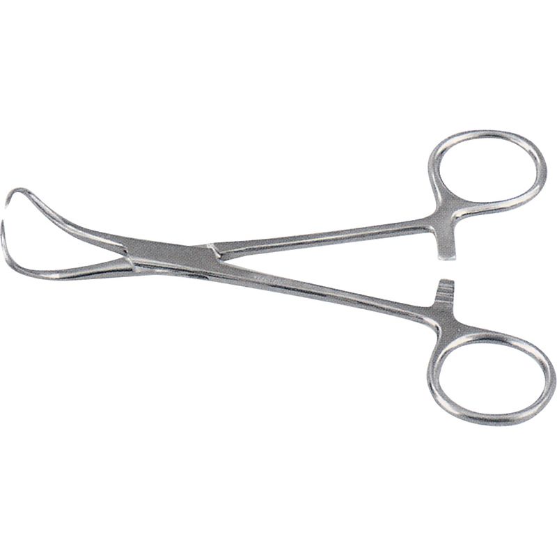 Chain Nose Plier