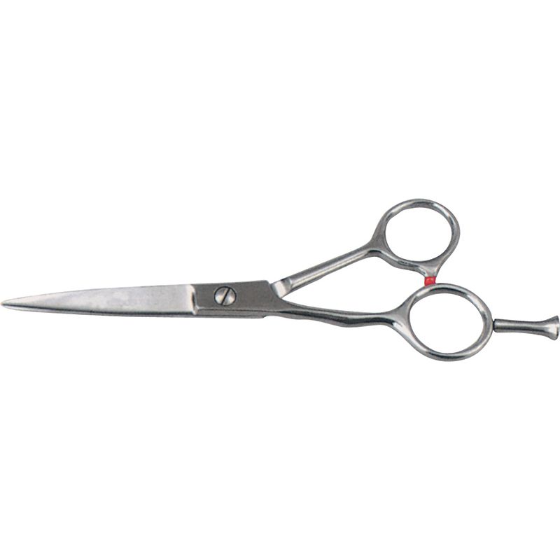 Haire Dressing Shears