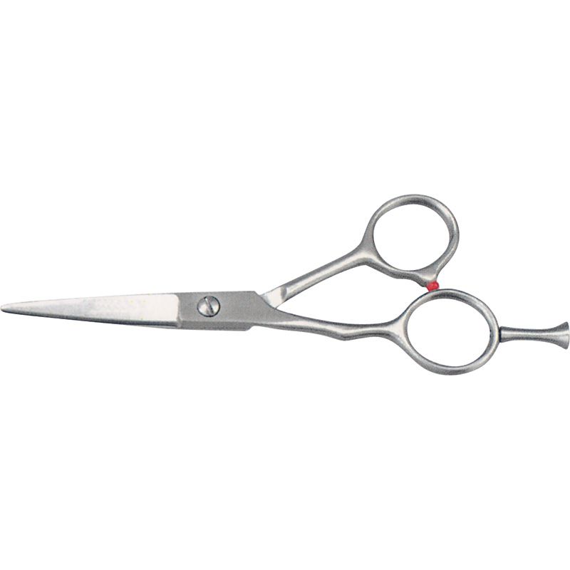 Haire Dressing Shears