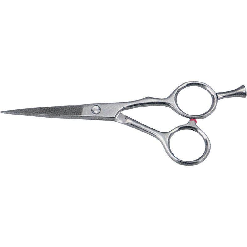 Haire Dressing Shears