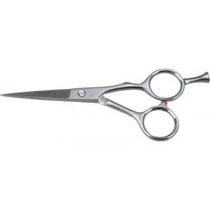 Haire Dressing Shears