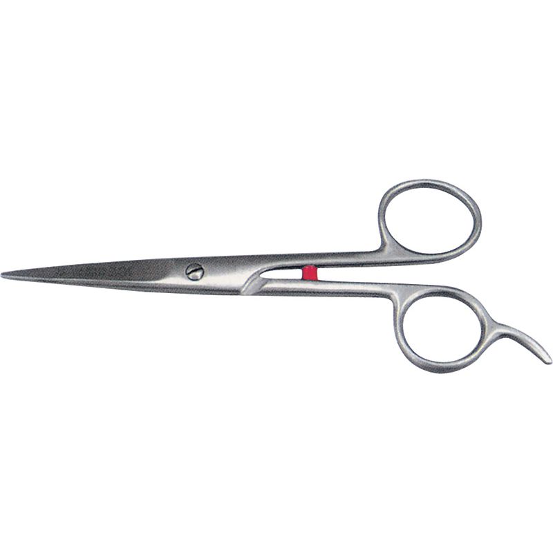 Haire Dressing Shears